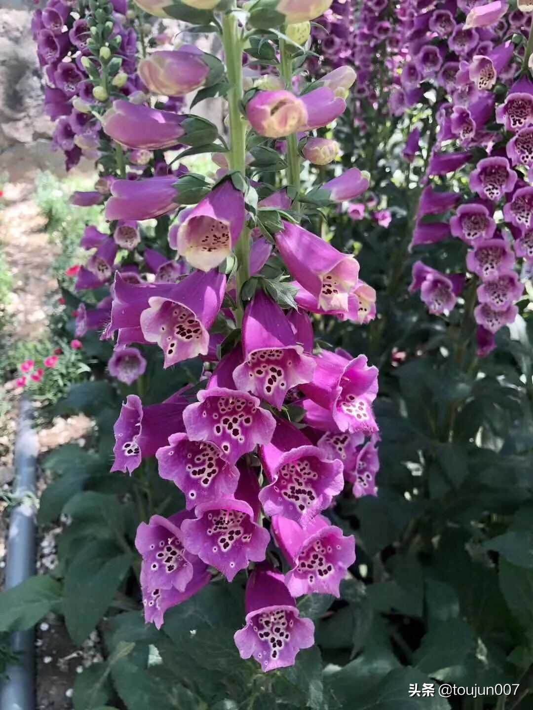 php导出excel大数据,php导出excel多表头