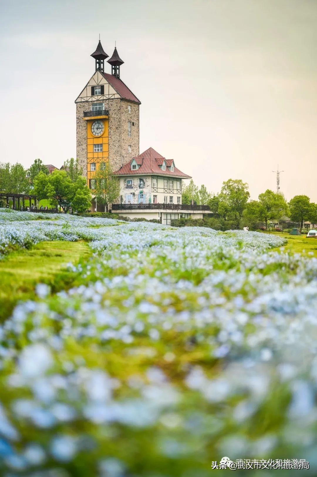 蔡甸区游玩,蔡甸在哪里