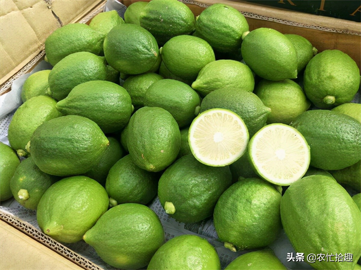 5月涨至一斤36元，吸引农民种植，如今价格腰斩，为何仍被看好