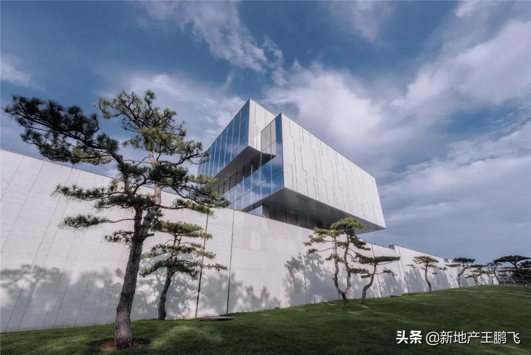 *瑰园玫**|曲江池畔的「叛逆少年」，匠心打磨的「凝固艺术」