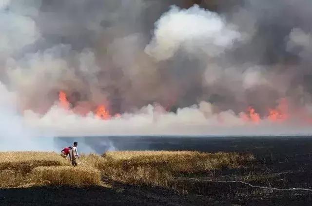 人类面临的生态困境包括哪,生态农业的可能性以及前景