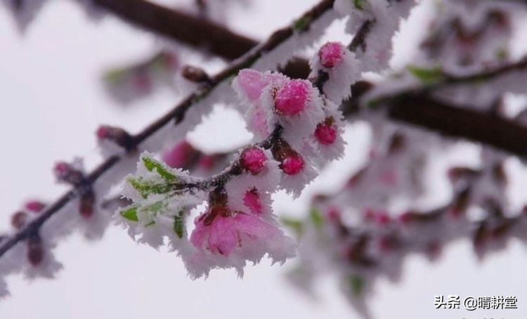 赣州峰山附近一日游自驾游景点,赣州峰山美景