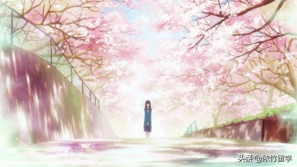 依竹留学官网 (依竹留学)