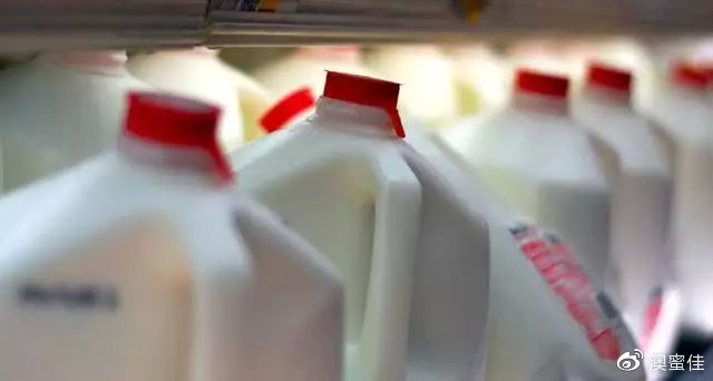 澳洲牛奶有多好喝,为什么要喝澳洲的牛奶