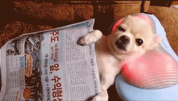 超全泰国旅行攻略｜美食吃到撑，逛街到腿断