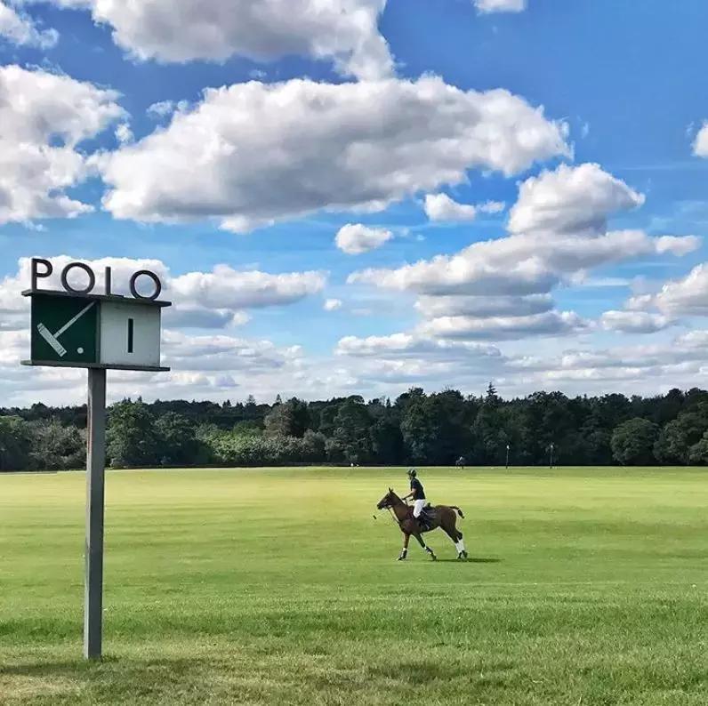 顶级奢华100亩中式庄园,顶级富豪的私人豪宅庄园