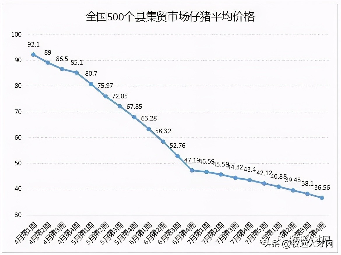 仔猪育肥头均亏损1000元/头，更惨的是饲料价格再度上涨