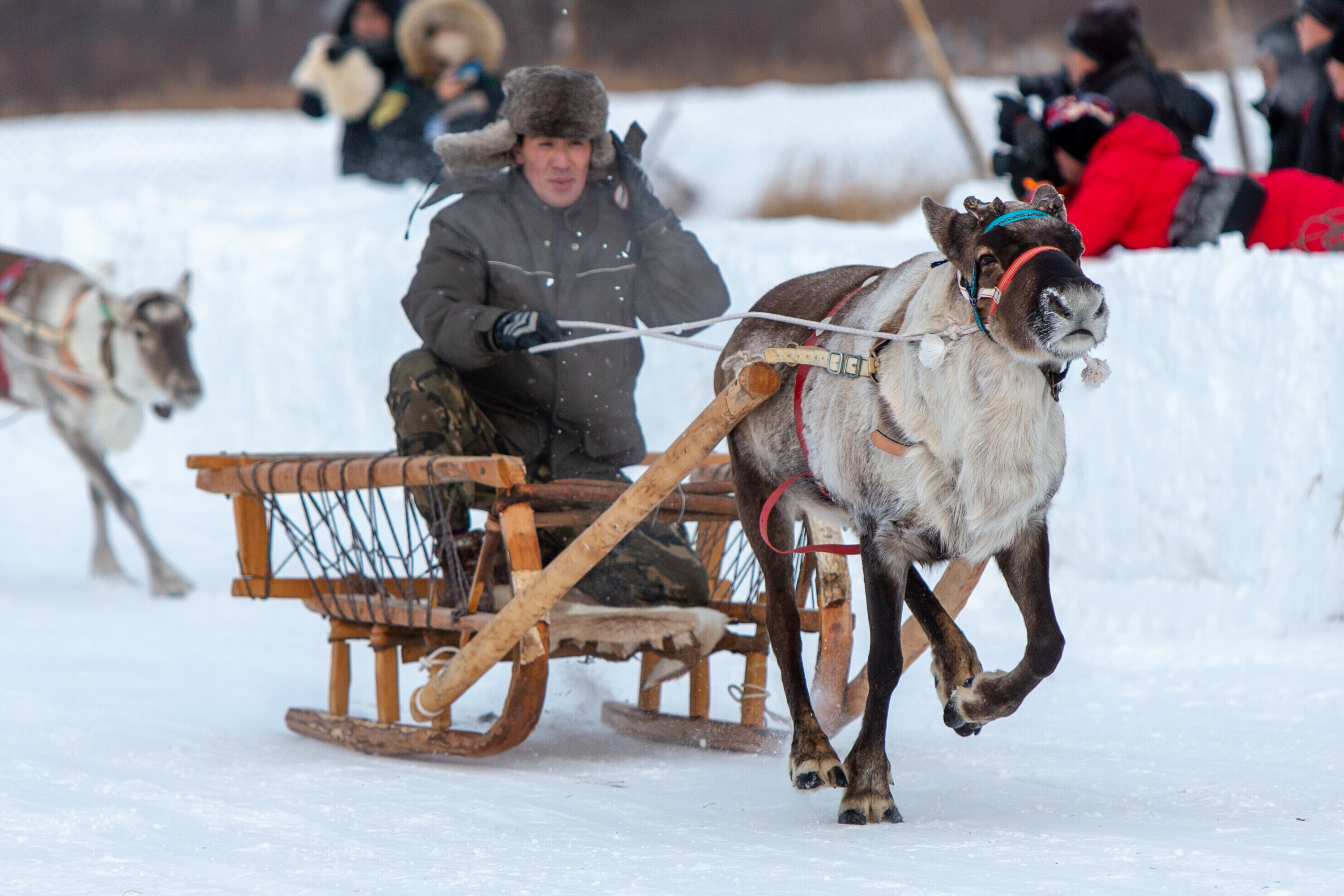 内蒙古的冬天有多好玩,内蒙古的冬天能有多美