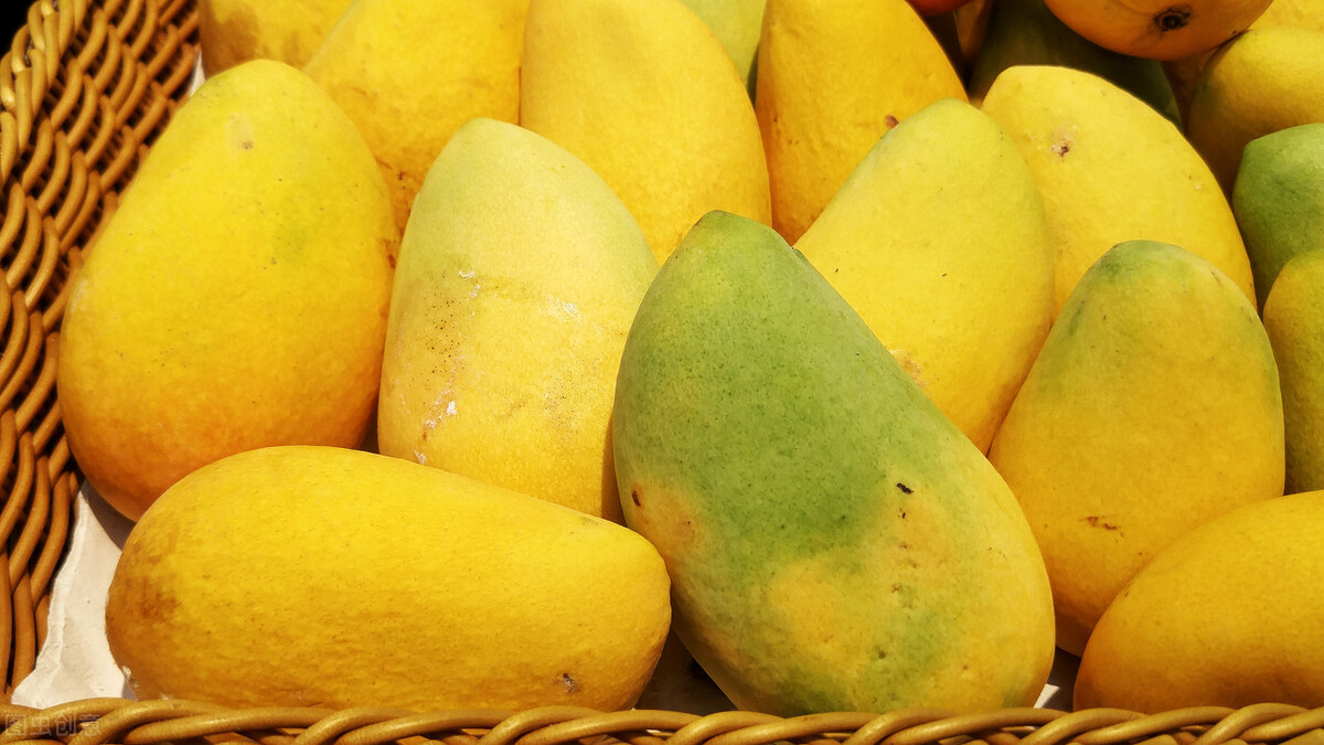 选芒果时，别只知道看大小，牢记“3看1闻1吃”原则，个个香甜