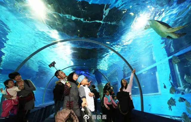 广州春节玩乐攻略,春节广州亲子游攻略