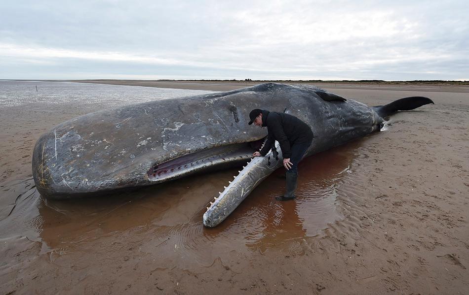 这七种文玩不值钱可盘起来,十大便宜的冷门文玩