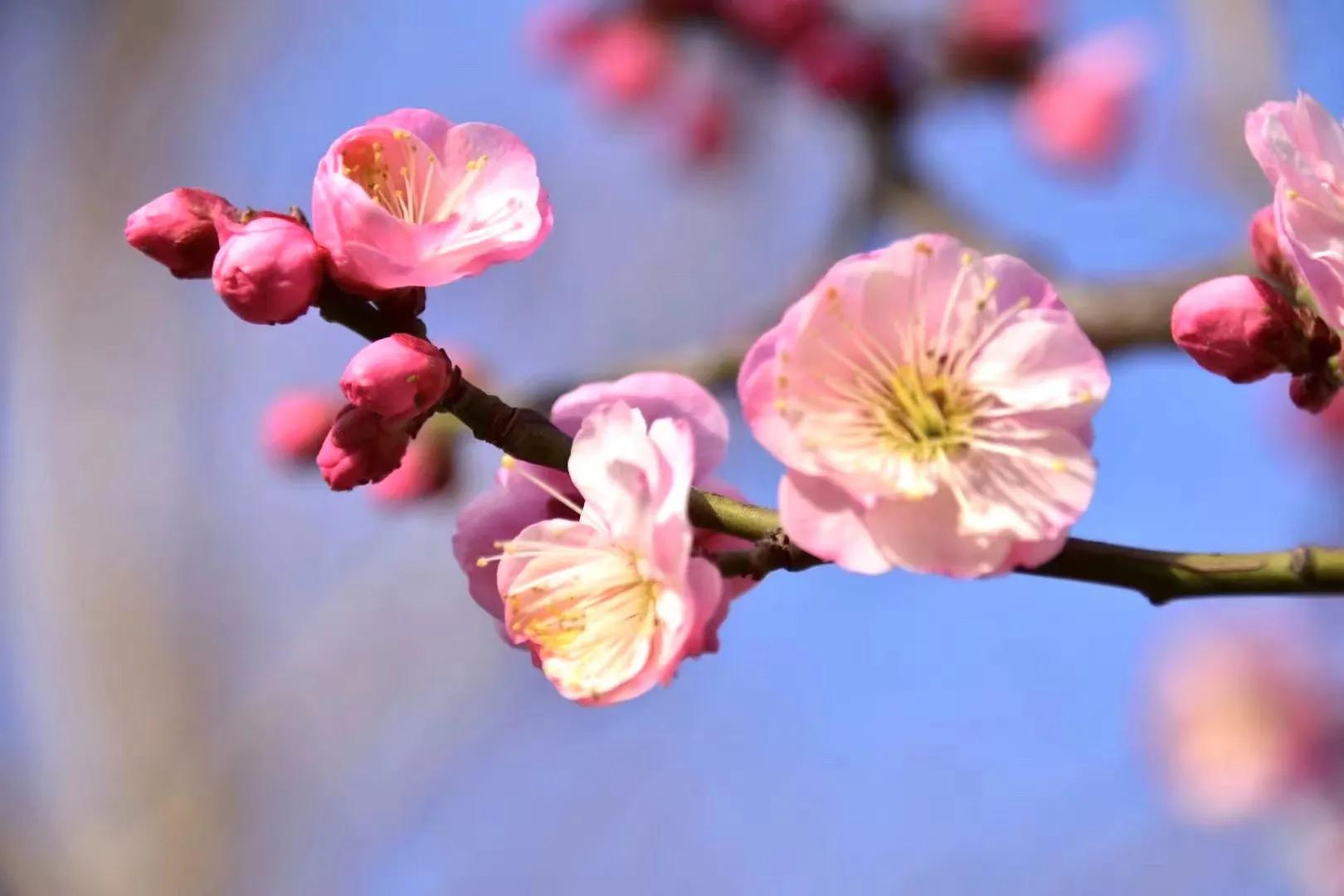 读朱永新的《致教师》