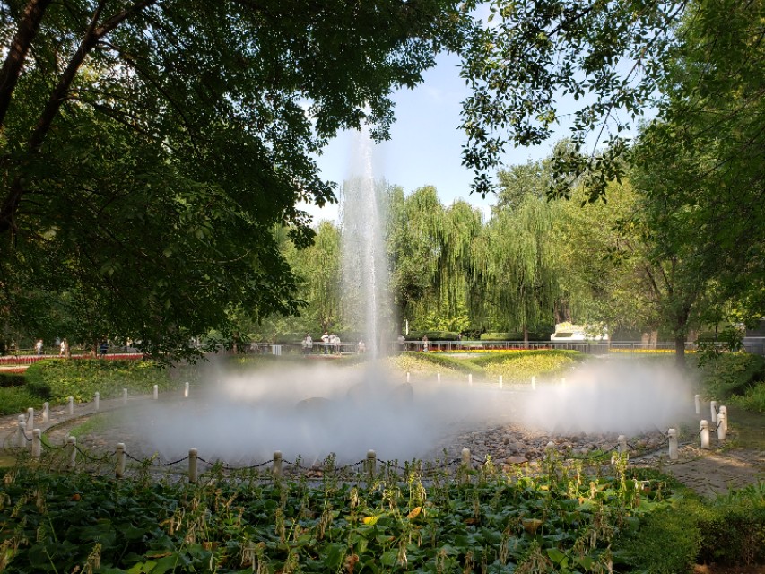 北京适合带娃遛狗的公园推荐,北京适合带娃溜达的公园