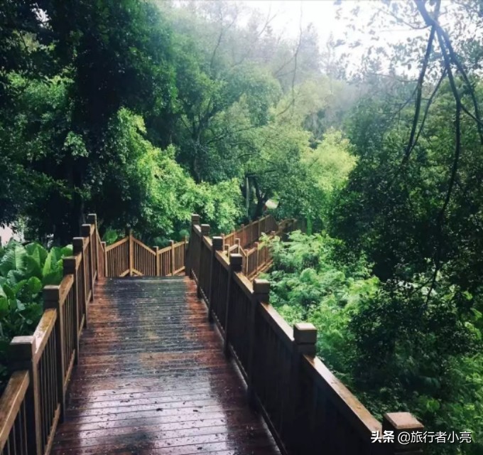 福建厦门十大旅游景点,福建厦门旅游十大必去景区