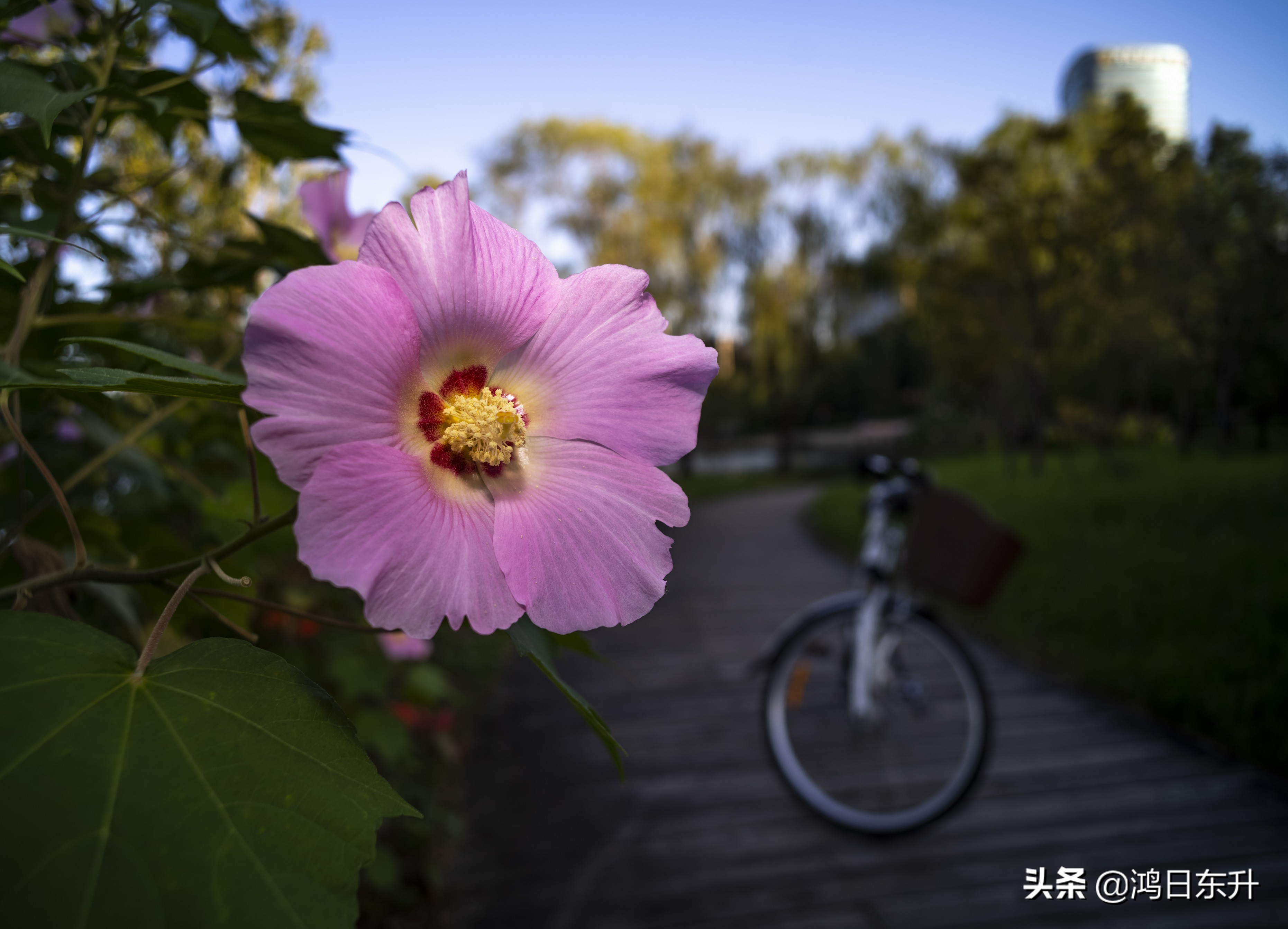 上海打拼的真实感受,在上海打拼是件很不容易的事