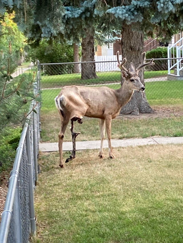 25张活久未见的历史照片,35张活久见的照片