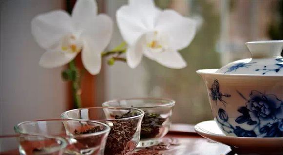 couldn'tconnecttohost