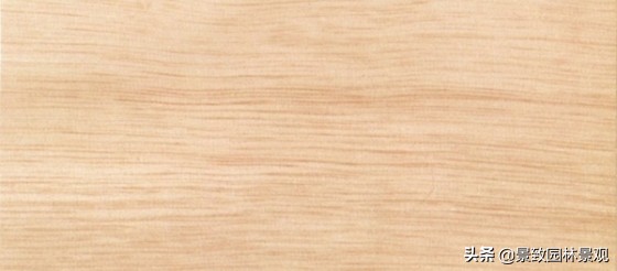 木纹最好看的木材图片,各种木材纹理图片与名称