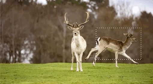 adobeps2024新功能,adobe正式推出photoshop2020版