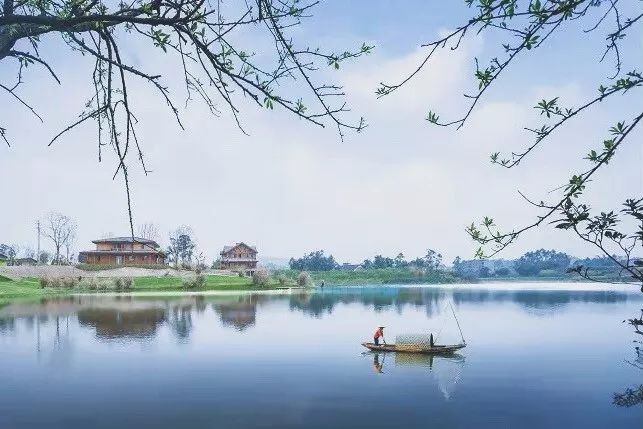 田园风光稻田帐篷,稻田星空露营基地