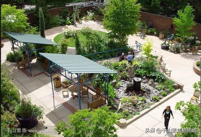 园艺康复疗法介绍,园艺疗法的现状