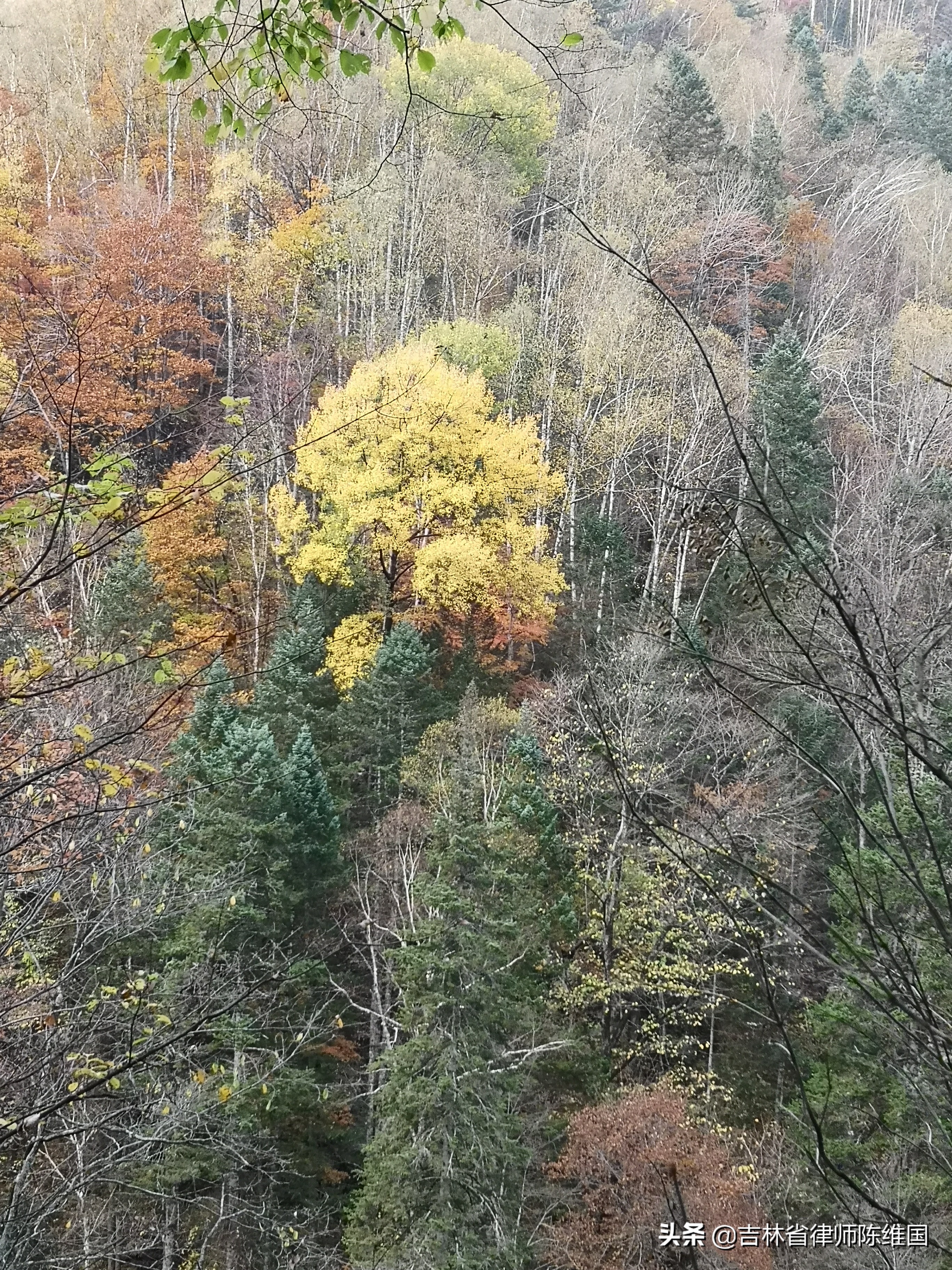 奇石碧水望天鹅－国庆游记之三