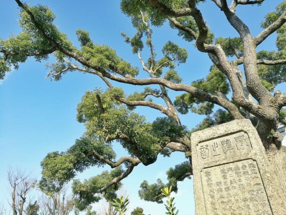 王思聪李易峰综艺节目,王思聪李易峰玩游戏