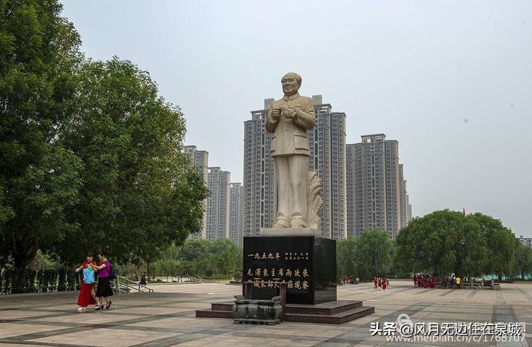 济南秋天的法国梧桐,济南一颗梧桐树