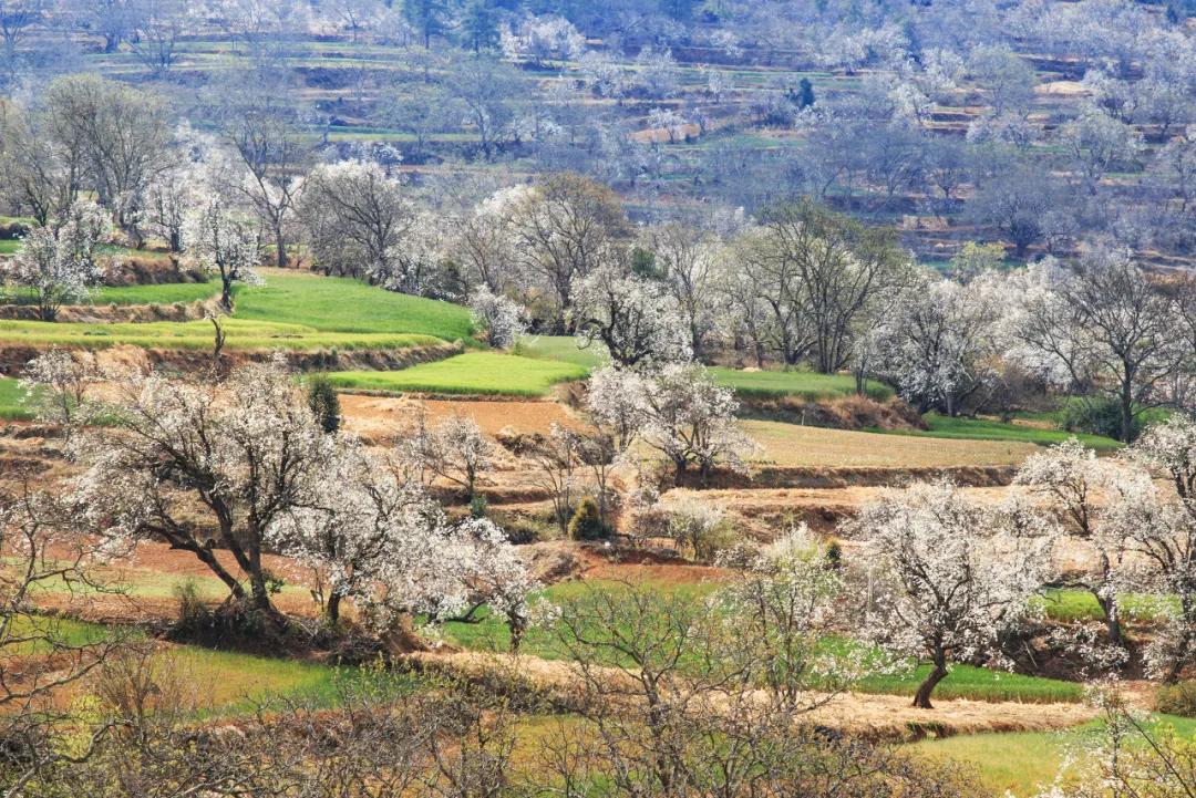 5个国内特色小众旅游景点推荐,10个适合小众旅游的绝美景点推荐