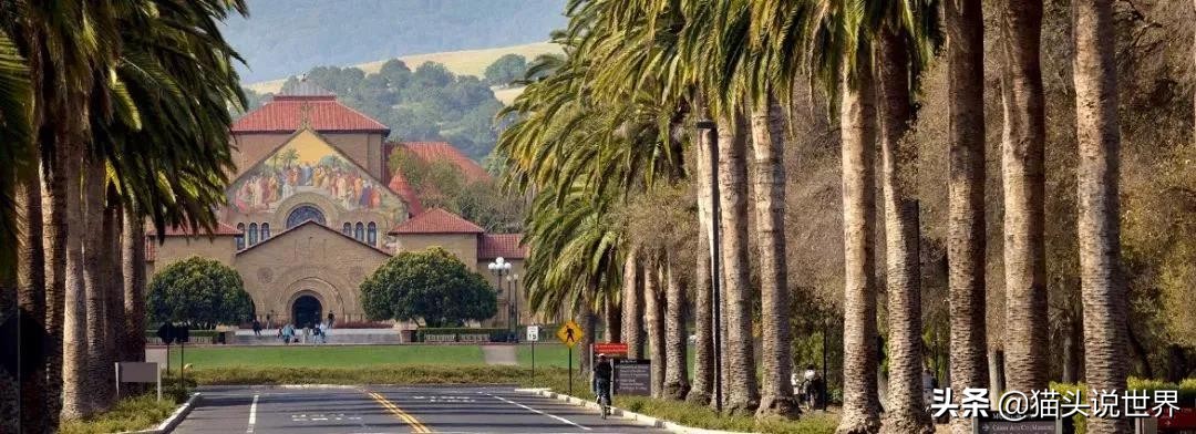 英国娱乐圈美国版王思聪,美国人眼中的王思聪