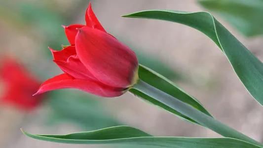 小人是如何控制你的,怎么面对生活中的小人