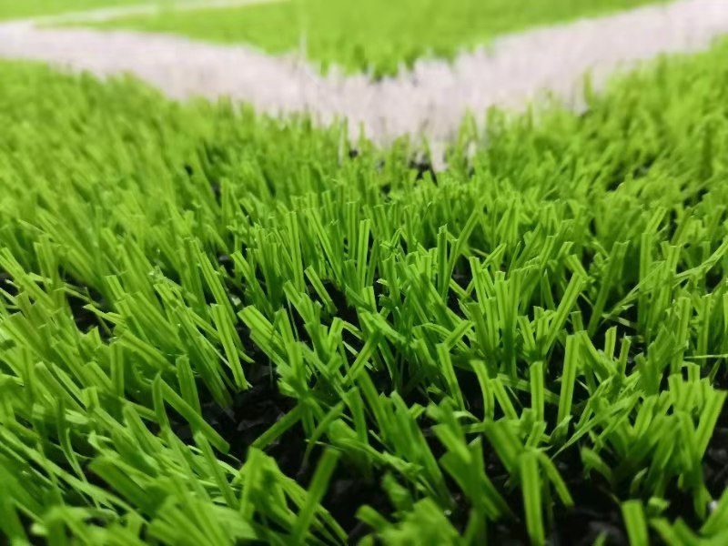 沈阳1980室内足球场,沈阳都有哪些开放式的足球场