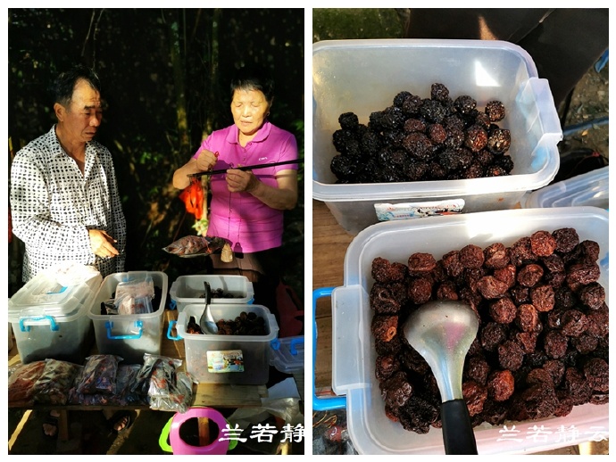 福建永泰云顶山风景图片,福州永泰云顶风景如画成避暑胜地