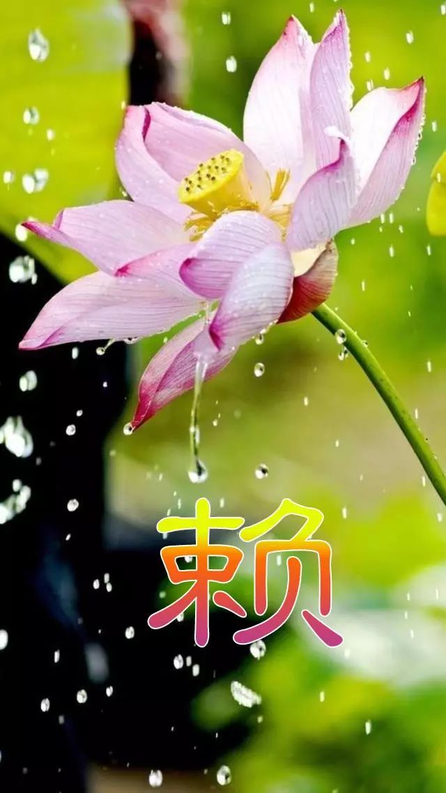 天然翡翠财字,翡翠字体图片欣赏