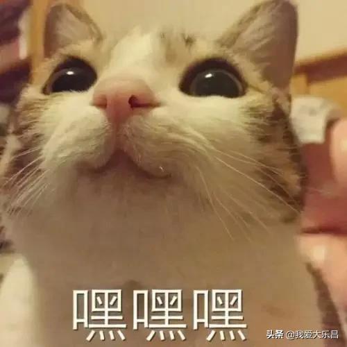 乐昌市摩托车考驾驶证的具体流程,乐昌考摩托车证在哪里