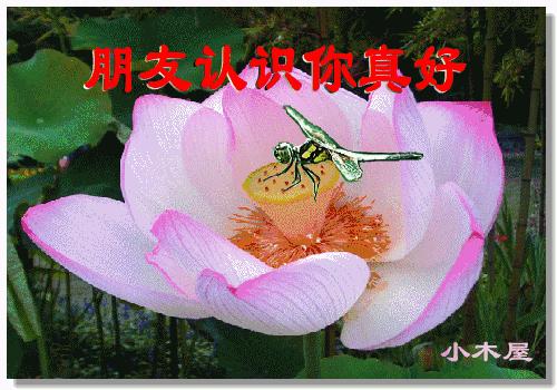 微信晚上好图片表情包,微信晚上好带字图片大全