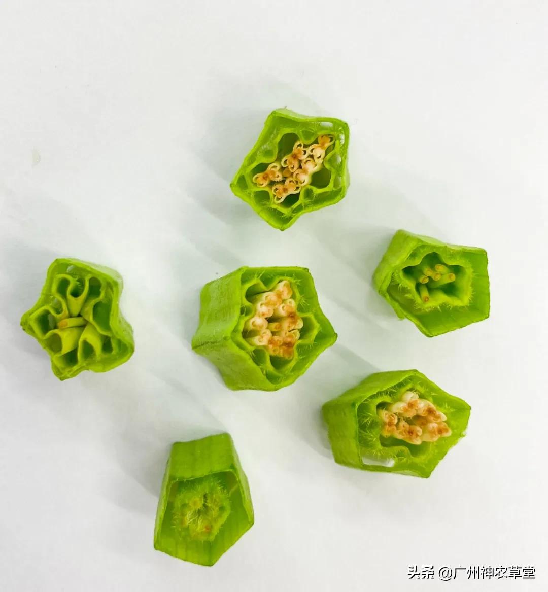 秋葵和曼陀罗长得像吗,如何辨别曼陀罗和龙葵