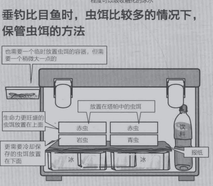 「日本专业海钓入门投钓书籍」活虫饵投钓重要的是保持虫饵新鲜