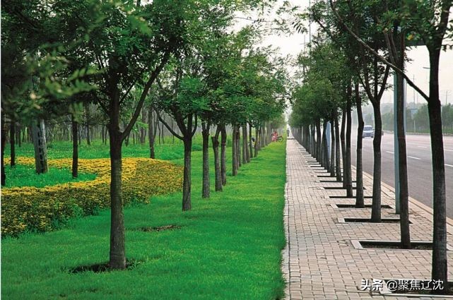 沈北房价未来五年走势,沈北新区道义二手房价走势怎么样