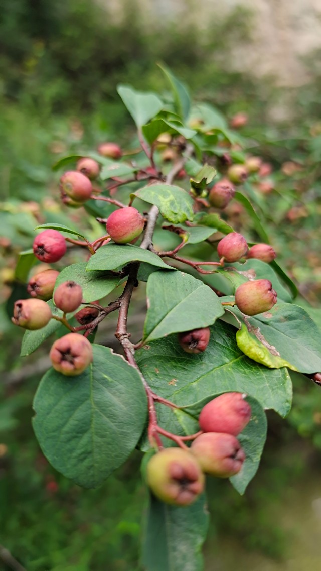 <html>
<head><title>502BadGateway</title></head>
<body>
<center><h1>502BadGateway</h1></center>
<hr><center>nginx</center>
</body>
</html>
<!--apaddingtodisableMSIEandChromefriendlyerrorpage-->
<!--apaddingtodisableMSIEandChromefriendlyerrorpage-->
<!--apaddingtodisableMSIEandChromefriendlyerrorpage-->
<!--apaddingtodisableMSIEandChromefriendlyerrorpage-->
<!--apaddingtodisableMSIEandChromefriendlyerrorpage-->
<!--apaddingtodisableMSIEandChromefriendlyerrorpage-->
