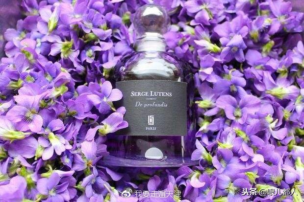 行走的荷尔蒙香水推荐,什么牌子的香水是行走的荷尔蒙