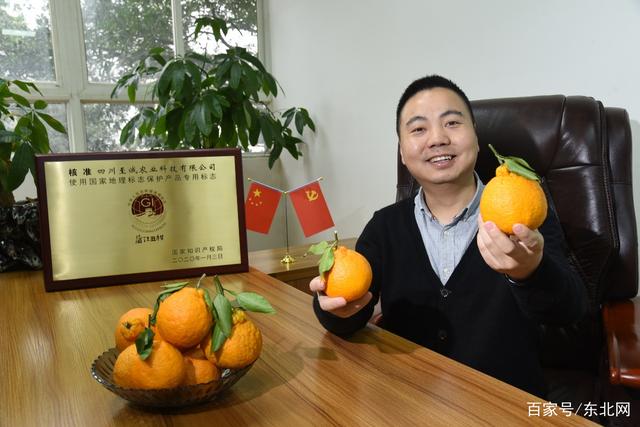 四川省丑柑橘自产自销直播,丑橘果农直供