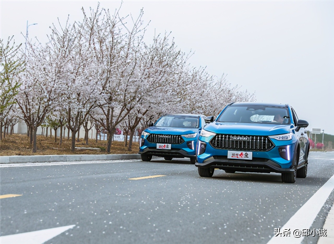 赤兔有啥区别,赤兔是哪个马种