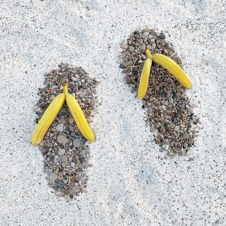 菜狗设计师,菜狗主理人