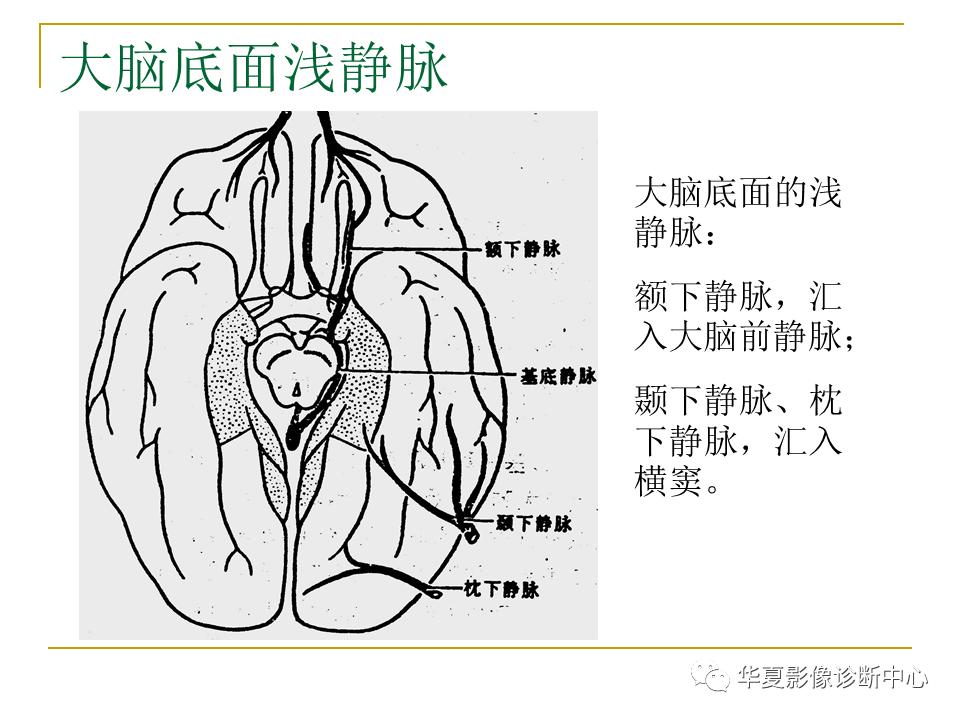 中国人脑立体定向mri应用解剖图谱,脑mri示意图