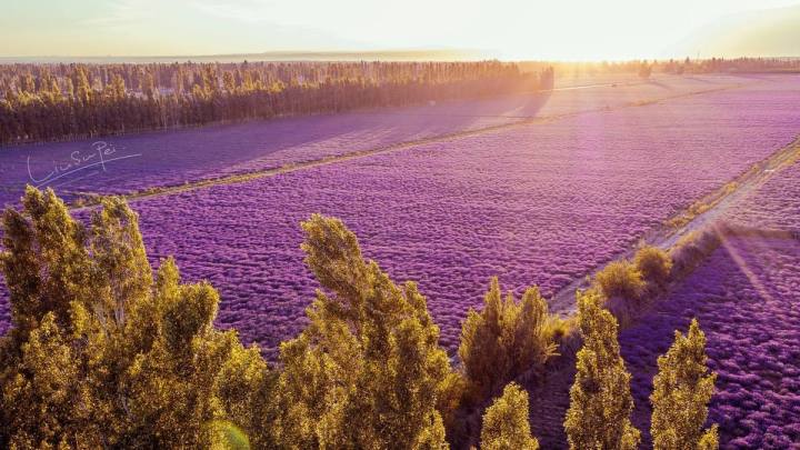 中国最美的八大草原,夏天旅游,与草原最配哦