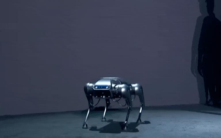 雷军铁蛋视频,雷军小米机器狗