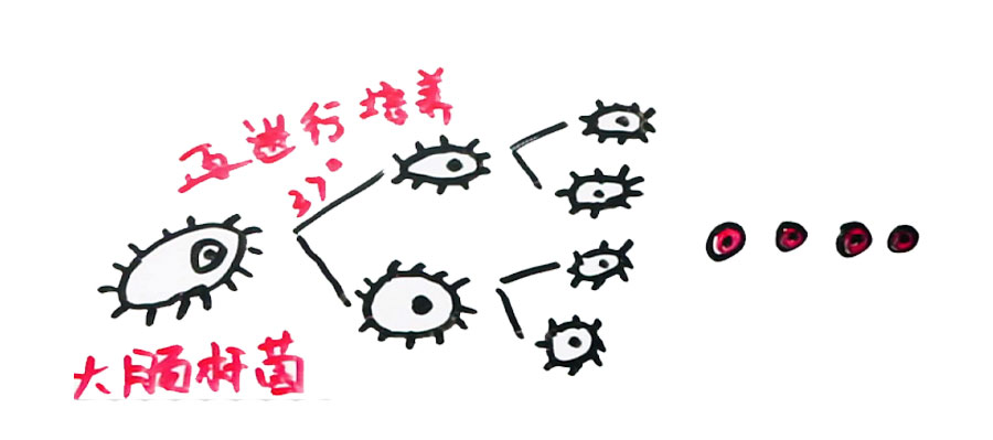 如果基因被破解会有什么后果,人类基因被破解的危害