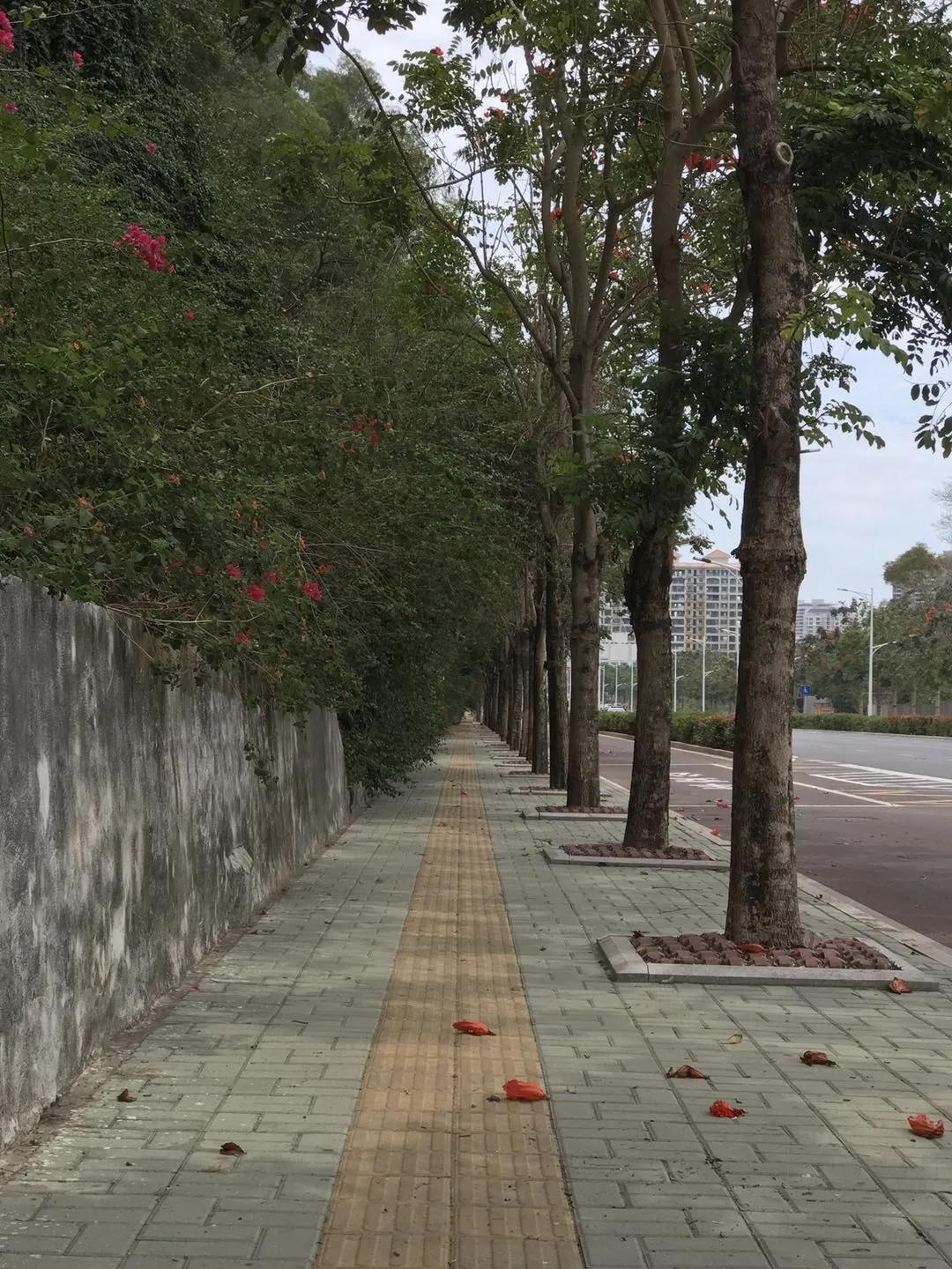 南澳岛小众隐藏景点,南澳岛2天1夜自驾游地图