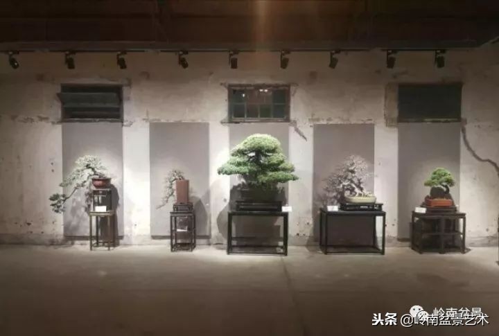 閲戝脊瀛愬湪鐩嗘櫙涓殑鍦颁綅,姒嗘爲鍦ㄧ泦鏅晫鍦颁綅